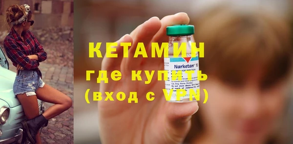 шишки Аркадак