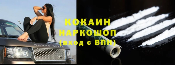 твердый Арсеньев