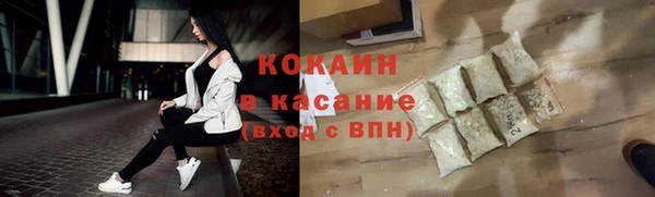 твердый Арсеньев
