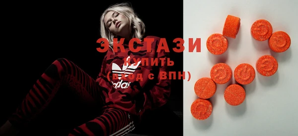 крисы Корсаков