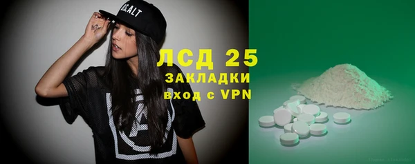 шишки Аркадак