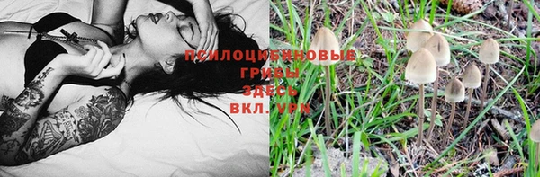 шишки Аркадак