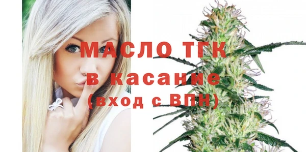 твердый Арсеньев