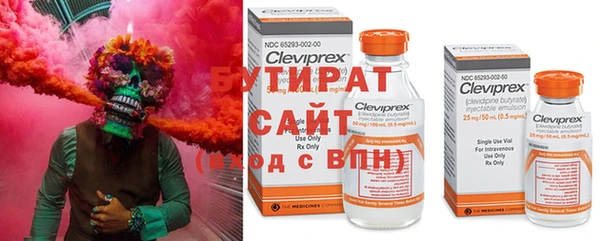 шишки Аркадак