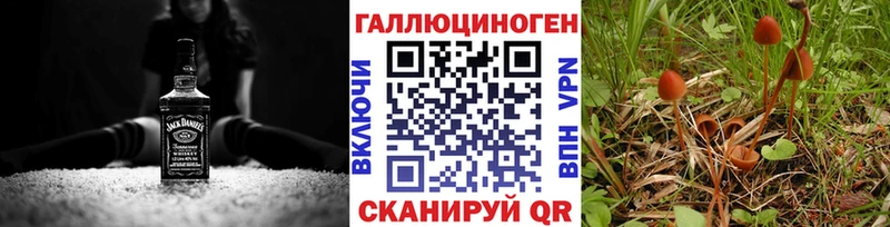 Купить закладки  Краснокамск  Псилоцибиновые грибы мухоморы 
